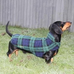 New 👏 Personalised Miniature Dachshund Fleece by Lords & Labradors 😀 22 New 👏 Personalised Miniature Dachshund Fleece by Lords & Labradors 😀 -Lords & Labradors Sales personalised miniature dachshund fleece by lords labradors green tartan lifestyle