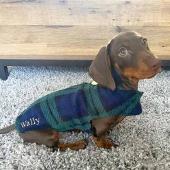 New 👏 Personalised Miniature Dachshund Fleece by Lords & Labradors 😀