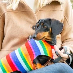 New 👏 Personalised Miniature Dachshund Fleece by Lords & Labradors 😀 35 New 👏 Personalised Miniature Dachshund Fleece by Lords & Labradors 😀 -Lords & Labradors Sales personalised miniature dachshund fleece by lords labradors rainbow close up
