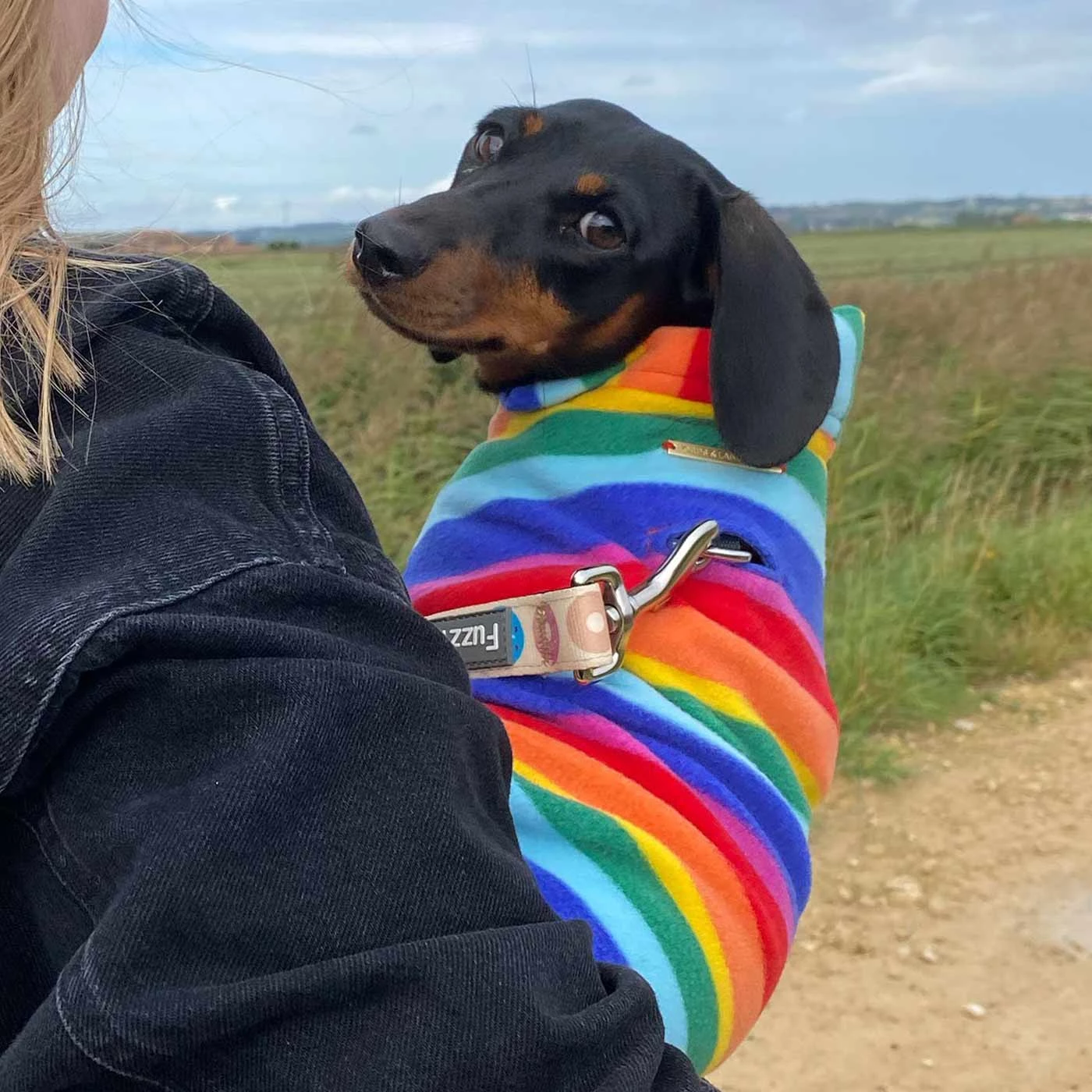 New 👏 Personalised Miniature Dachshund Fleece by Lords & Labradors 😀 13 New 👏 Personalised Miniature Dachshund Fleece by Lords & Labradors 😀 - Image 13