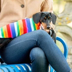 New 👏 Personalised Miniature Dachshund Fleece by Lords & Labradors 😀 37 New 👏 Personalised Miniature Dachshund Fleece by Lords & Labradors 😀 -Lords & Labradors Sales personalised miniature dachshund fleece by lords labradors rainbow lifestyle