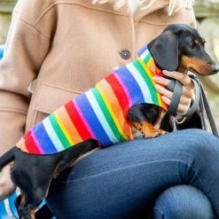 New 👏 Personalised Miniature Dachshund Fleece by Lords & Labradors 😀 36 New 👏 Personalised Miniature Dachshund Fleece by Lords & Labradors 😀 -Lords & Labradors Sales personalised miniature dachshund fleece by lords labradors rainbow lifestyle close up