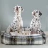 Best reviews of 🎉 Lords & Labradors Personalised Neutral Tweed Box Bed For 🐕 Dogs 👏