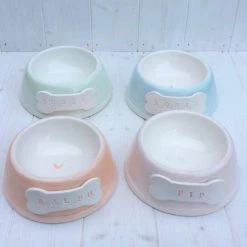 Budget 😍 Personalised Pastel 🐶 Dog Bowl by Purple Glaze - Angled 🛒