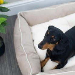 Promo 🥰 Lords & Labradors Personalised Savanna Box Bed For 🐕 Dogs 🛒 -Lords & Labradors Sales personalised savanna box bed for dogs oatmeal dog