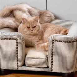 Lords & Labradors Sales -Lords & Labradors Sales personalised tetford concept cat chesterfield