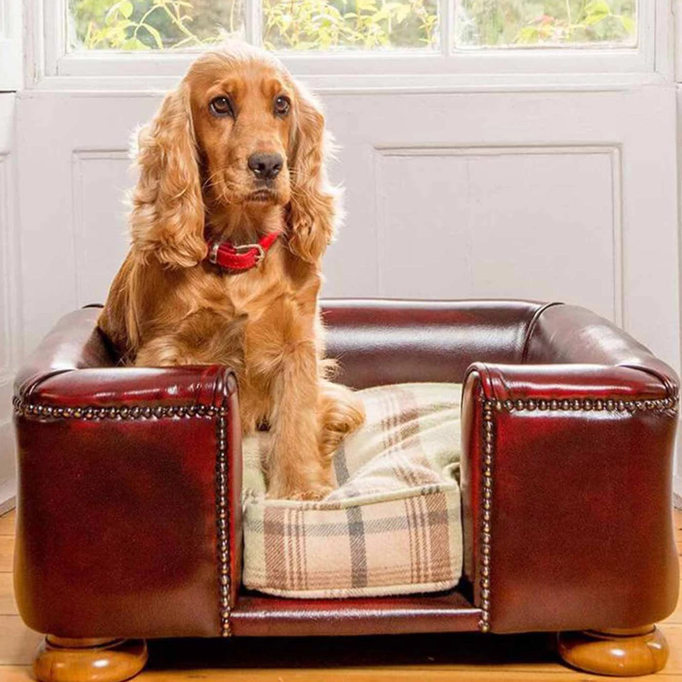 Hot Sale ๐ Lords & Labradors Personalised Tetford ๐ฆฎ Dog Chesterfield in Oxblood Leather โ๏ธ 1 Hot Sale ๐ Lords & Labradors Personalised Tetford ๐ฆฎ Dog Chesterfield in Oxblood Leather โ๏ธ