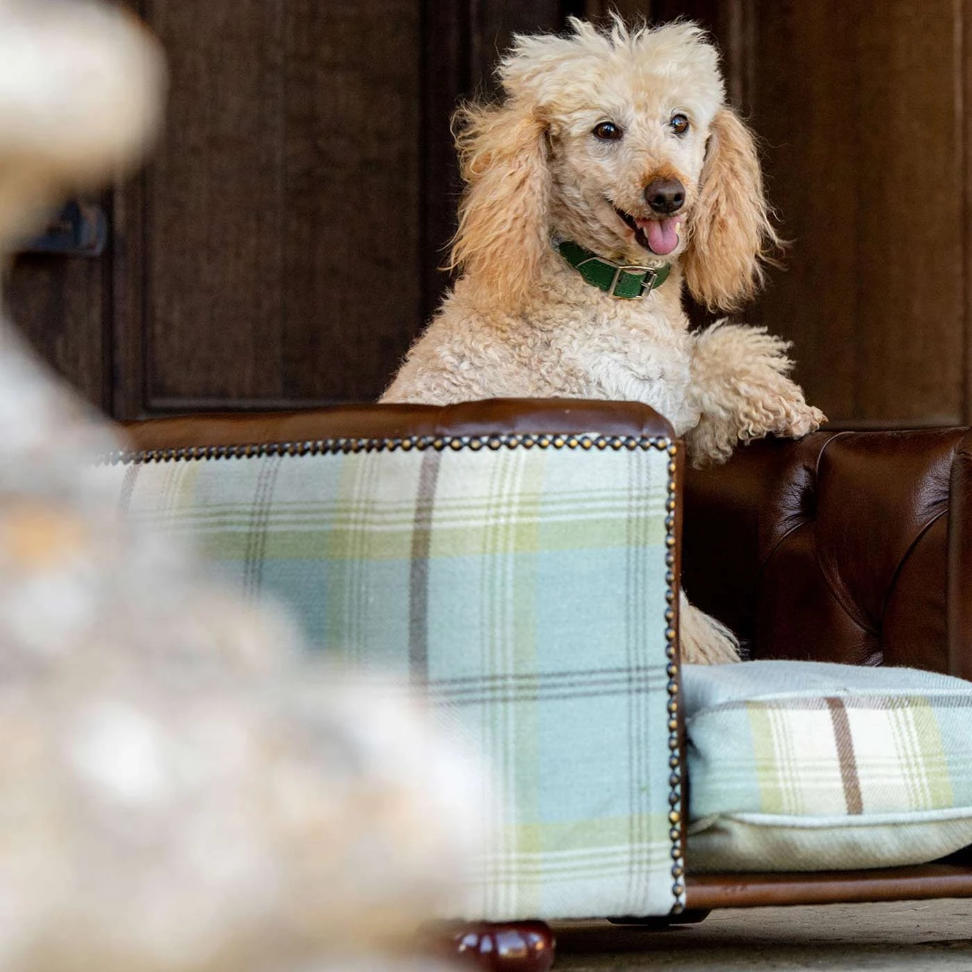 Buy โค๏ธ Lords & Labradors Personalised Tetford ๐ฆฎ Dog Chesterfield in Tan Leather & Duck Egg Tweed ๐ 2 Buy โค๏ธ Lords & Labradors Personalised Tetford ๐ฆฎ Dog Chesterfield in Tan Leather & Duck Egg Tweed ๐ - Image 2