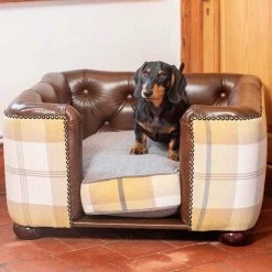 Outlet 🔥 Lords & Labradors Personalised Tetford 🦮 Dog Chesterfield in Tan Leather & Ochre Ash Tweed ⌛
