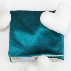 Top 10 👏 Lords & Labradors New Kitten Starter Pack - Standard 🎉 -Lords & Labradors Sales puppy scent blanket teal top 95c6c6c3 e987 405e 9f9f a3356b8a43e2