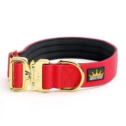 Buy 🔥 Regal 🦮 Dog Gold Series Collar 😉 -Lords & Labradors Sales regal gold series lead red studio
