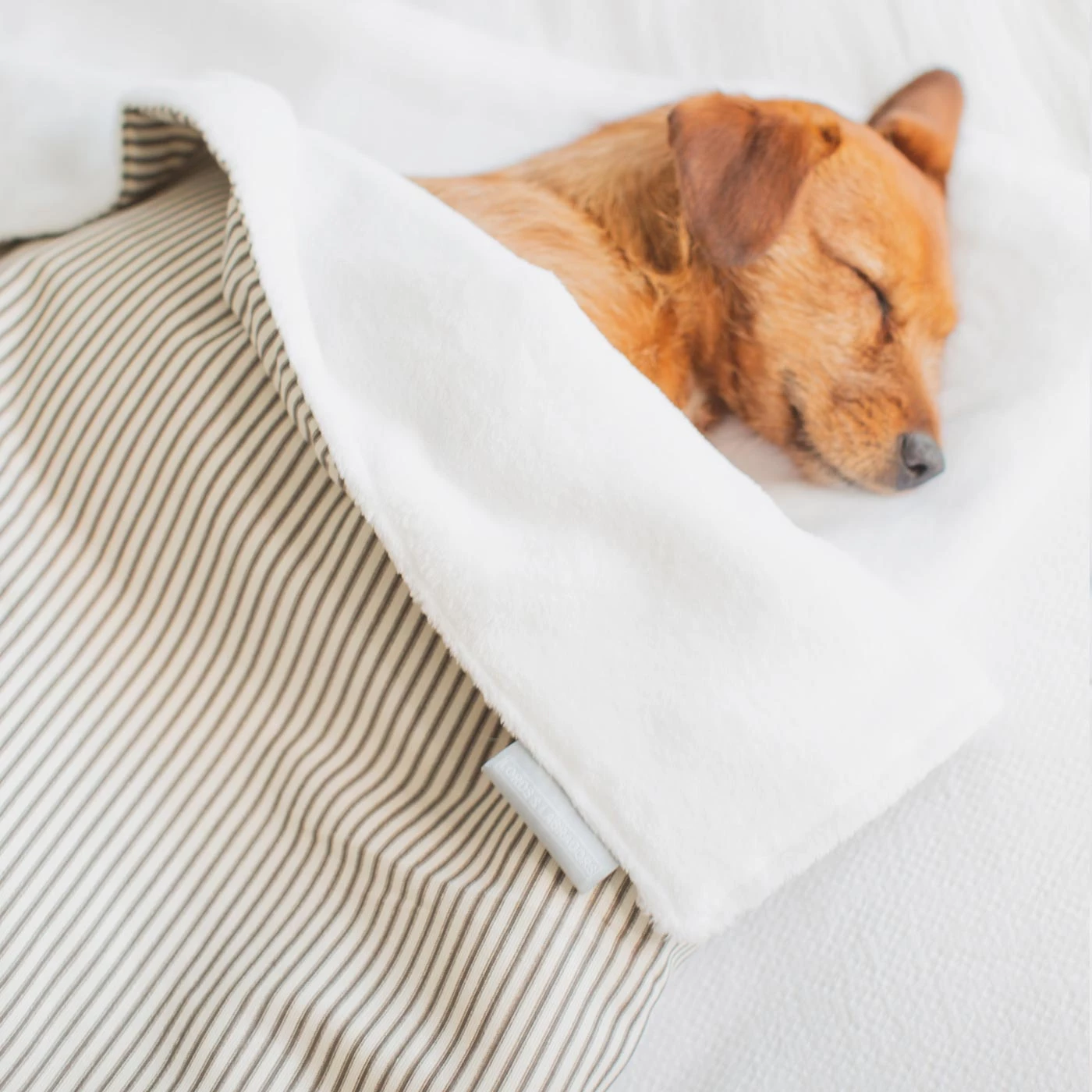 Best reviews of ๐ฏ Dog & Puppy Blanket By Lords & Labradors - Spots & Stripes Collection โ๏ธ 7 Best reviews of ๐ฏ Dog & Puppy Blanket By Lords & Labradors - Spots & Stripes Collection โ๏ธ - Image 7