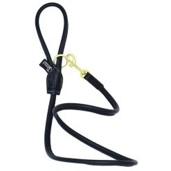 Flash Sale ๐ Dogs & Horses Narrow Rolled Leather Lead ๐