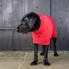 Best Sale 🌟 Lords & Labradors Outlet Ruff and Tumble Classic Drying 🧥 Coat ✔️