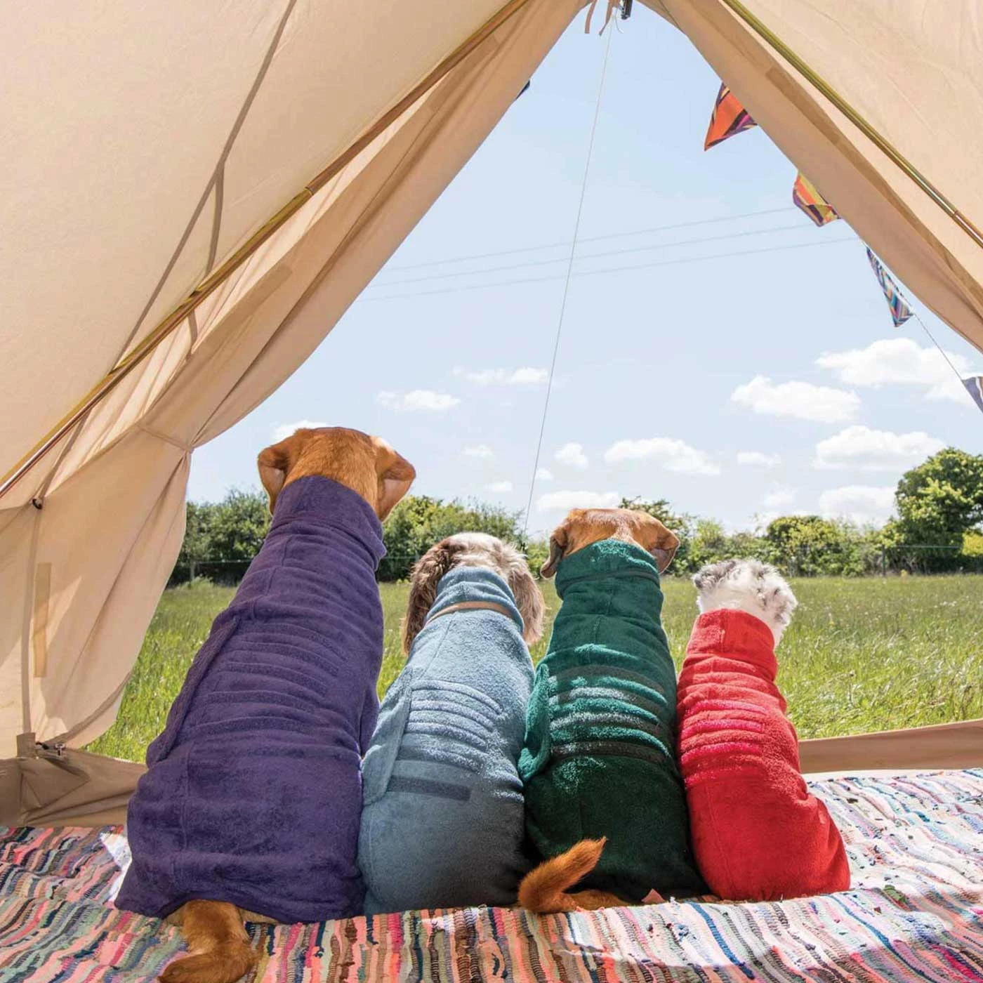 Best Sale ๐ Lords & Labradors Outlet Ruff and Tumble Classic Drying ๐งฅ Coat โ๏ธ 2 Best Sale ๐ Lords & Labradors Outlet Ruff and Tumble Classic Drying ๐งฅ Coat โ๏ธ - Image 2