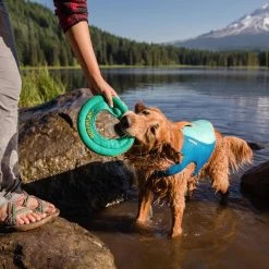 Best reviews of 🔔 RuffWear Float 🧥 Coat Life Jacket 😍