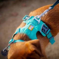 Coupon 🎁 Lords & Labradors Outlet RuffWear Front Range Harness 😍 -Lords & Labradors Sales ruffwear front range harness aurora teal top