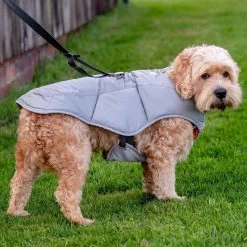 Best reviews of ๐ฅ Lords & Labradors Outlet RuffWear Quinzee Insulated Jacket ๐