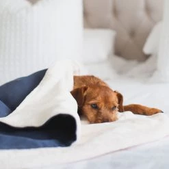 Brand new ❤️ Dog & Puppy Savanna Blanket By Lords & Labradors 👏