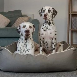 Outlet 🤩 Lords & Labradors Savanna Box Bed For 🦮 Dogs 😉 -Lords & Labradors Sales savanna stone box bed 2