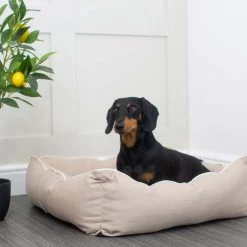 Outlet 🤩 Lords & Labradors Savanna Box Bed For 🦮 Dogs 😉 -Lords & Labradors Sales savannah box bed for dogs dog