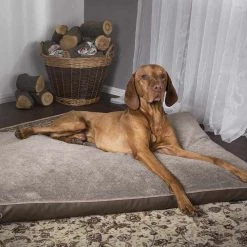 Cheap β¨ Scruffs ChΓ’teau Orthopaedic πΆ Dog Mattress π