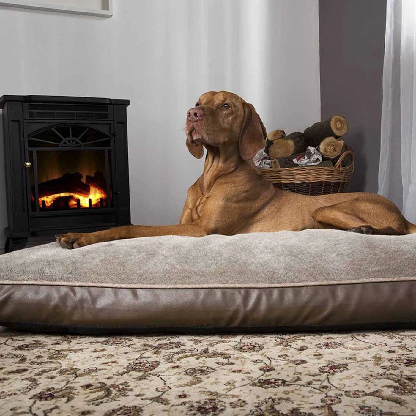 Cheap ✨ Scruffs Château Orthopaedic 🐶 Dog Mattress 🔔 2 Cheap ✨ Scruffs Château Orthopaedic 🐶 Dog Mattress 🔔 - Image 2