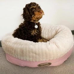 Top 10 🤩 Scruffs Ellen Donut Pet Bed 👍 -Lords & Labradors Sales scruffs ellen donut pet bed pink