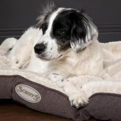Best Pirce ⌛ Lords & Labradors Outlet Scruffs Ellen Mattress Pet Bed 🎉 -Lords & Labradors Sales scruffs ellen mattress pet bed dog