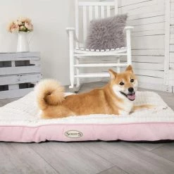 Best Pirce ⌛ Lords & Labradors Outlet Scruffs Ellen Mattress Pet Bed 🎉 -Lords & Labradors Sales scruffs ellen mattress pet bed lifestyle