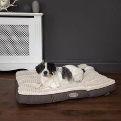 Best Pirce ⌛ Lords & Labradors Outlet Scruffs Ellen Mattress Pet Bed 🎉 -Lords & Labradors Sales scruffs ellen mattress pet bed lifestyle dog