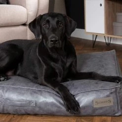 Best Sale ❤️ Scruffs Knightsbridge Mattress ✔️ 28 Best Sale ❤️ Scruffs Knightsbridge Mattress ✔️ -Lords & Labradors Sales scruffs knightsbridge mattress grey dog close up