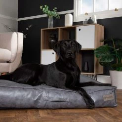 Best Sale ❤️ Scruffs Knightsbridge Mattress ✔️ 29 Best Sale ❤️ Scruffs Knightsbridge Mattress ✔️ -Lords & Labradors Sales scruffs knightsbridge mattress grey dog lifestyle