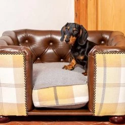 Cheapest 👍 Lords & Labradors Tetford 🐶 Dog Chesterfield in Tan Leather & Ochre Ash Tweed ✔️ 5 Cheapest 👍 Lords & Labradors Tetford 🐶 Dog Chesterfield in Tan Leather & Ochre Ash Tweed ✔️ -Lords & Labradors Sales tetford dog chesterfield in tan leather ochre ash tweed