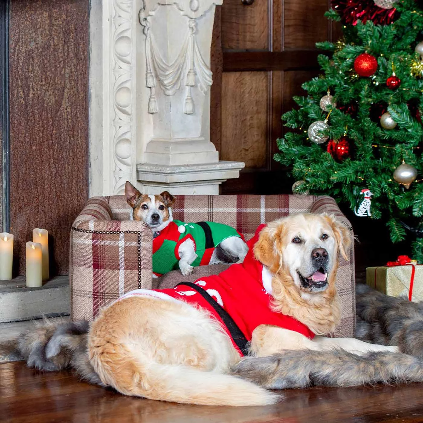 Best reviews of 🔥 Lords & Labradors Tetford Square Chesterfield in Mulberry Tweed 💯 2 Best reviews of 🔥 Lords & Labradors Tetford Square Chesterfield in Mulberry Tweed 💯 - Image 2