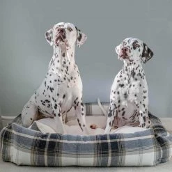 Best deal ๐ฅฐ Lords & Labradors Neutral Tweed Box Bed For ๐ฆฎ Dogs ๐งจ