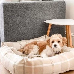 Best deal 🥰 Lords & Labradors Neutral Tweed Box Bed For 🦮 Dogs 🧨 -Lords & Labradors Sales the neutral tweed box bed for dogs natural lifestyle