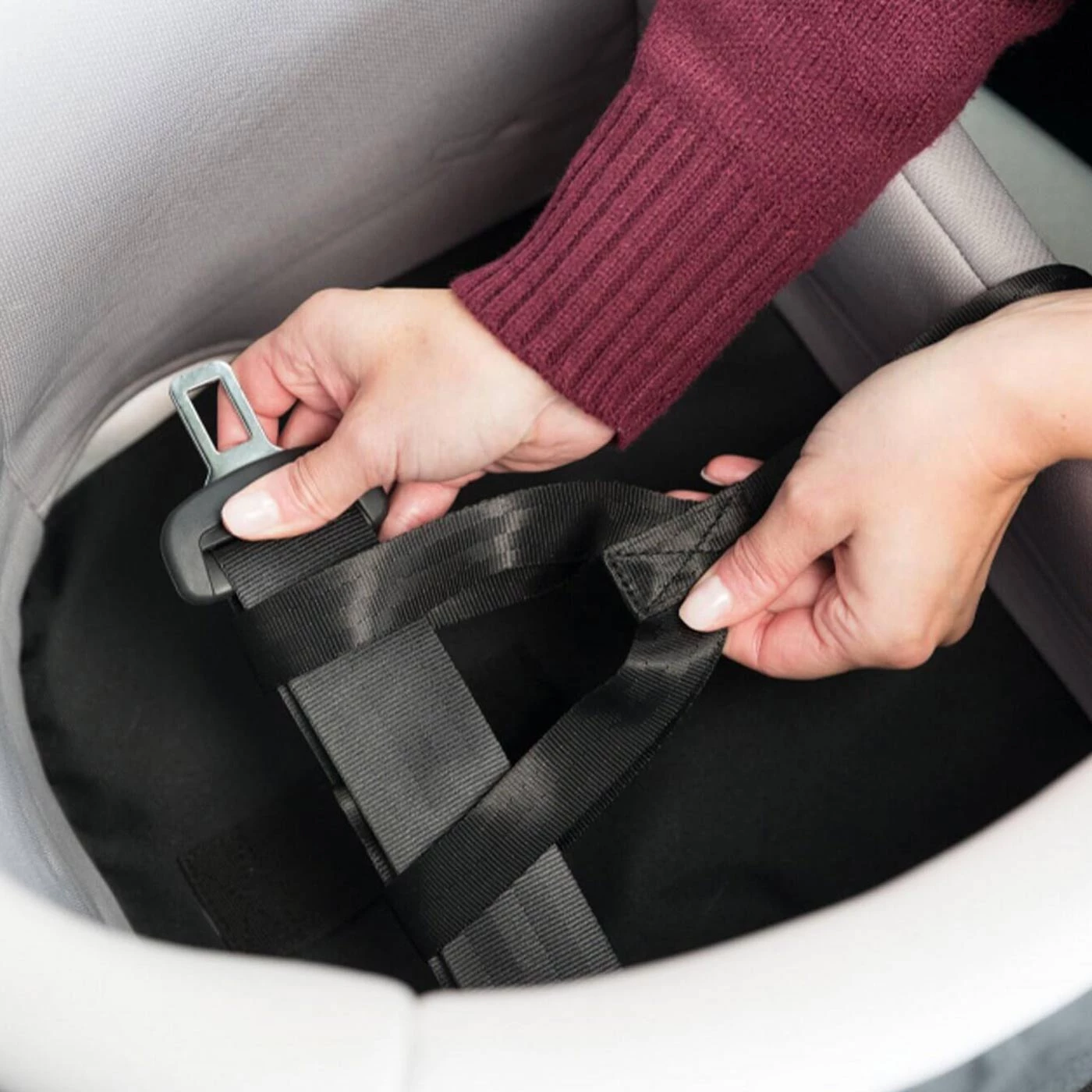 Cheap ✨ Trixie Car Seat for 🦮 Dogs 🔔 4 Cheap ✨ Trixie Car Seat for 🦮 Dogs 🔔 - Image 4