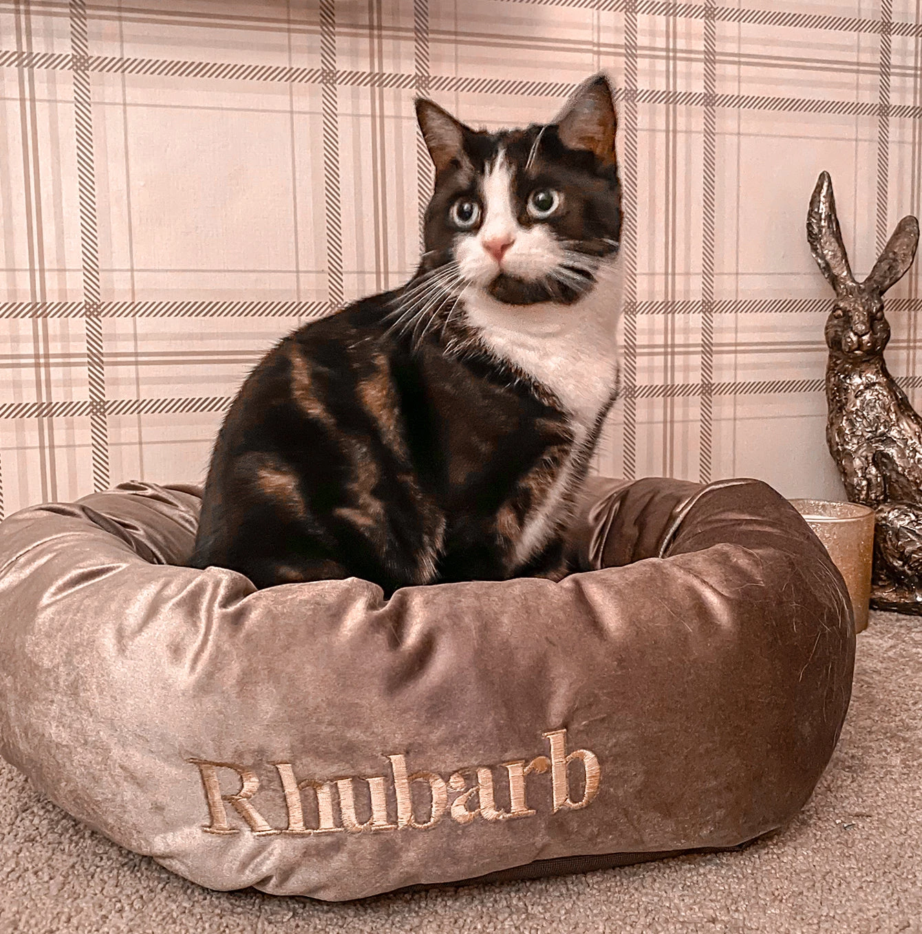 Deals ๐ Lords & Labradors Personalised Luxury Mink Velvet Cat Donut Bed ๐ 2 Deals ๐ Lords & Labradors Personalised Luxury Mink Velvet Cat Donut Bed ๐ - Image 2