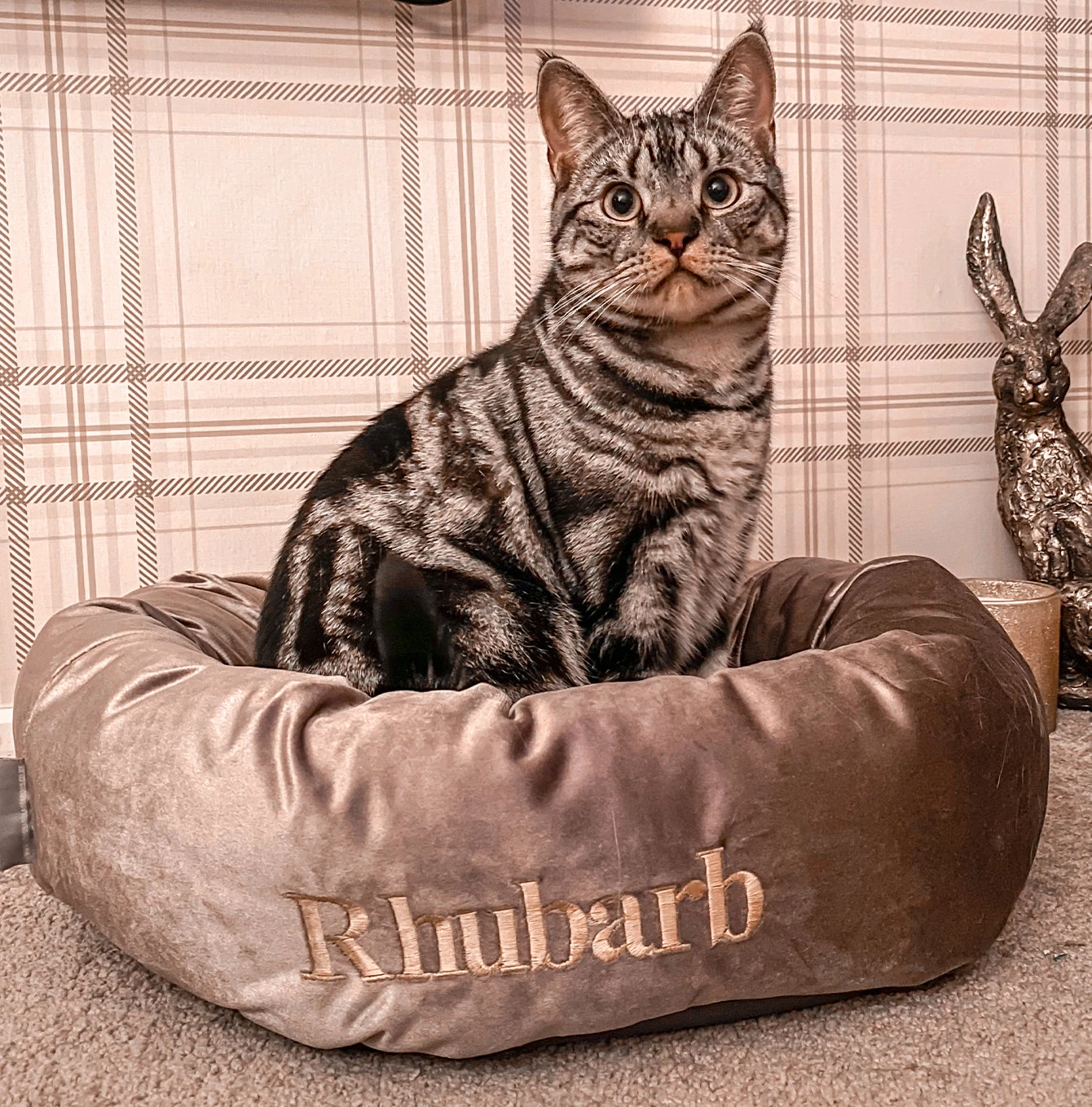Deals ๐ Lords & Labradors Personalised Luxury Mink Velvet Cat Donut Bed ๐ 1 Deals ๐ Lords & Labradors Personalised Luxury Mink Velvet Cat Donut Bed ๐