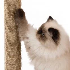 Best deal ๐ Vesper Box Large - Cozy Cube Cat Furniture ๐คฉ 10 Best deal ๐ Vesper Box Large - Cozy Cube Cat Furniture ๐คฉ -Lords & Labradors Sales vesper large box walnut cat scratching post