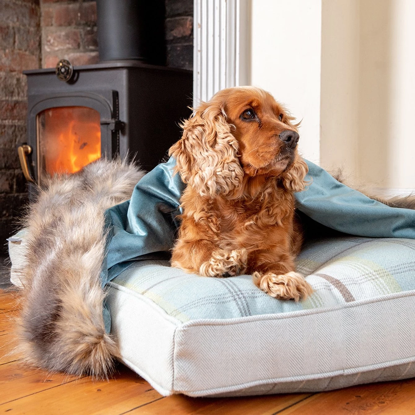 Best deal 🌟 Lords & Labradors Personalised Duck Egg & Wolf Faux Fur 🐕 Dog & Puppy Blanket ✔️ 1 Best deal 🌟 Lords & Labradors Personalised Duck Egg & Wolf Faux Fur 🐕 Dog & Puppy Blanket ✔️